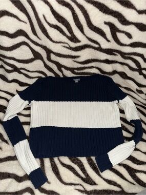 aerie Navy and White Wide-Stripe Ribbed Sweater